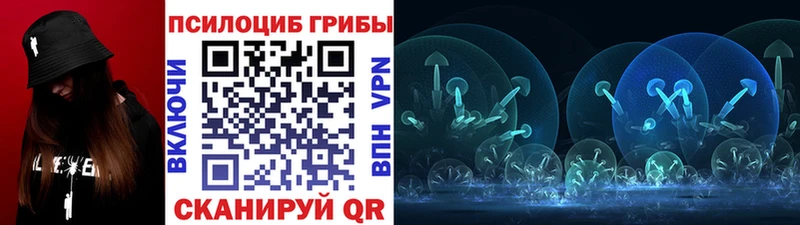 Купить  Суворов  Галлюциногенные грибы Cubensis 